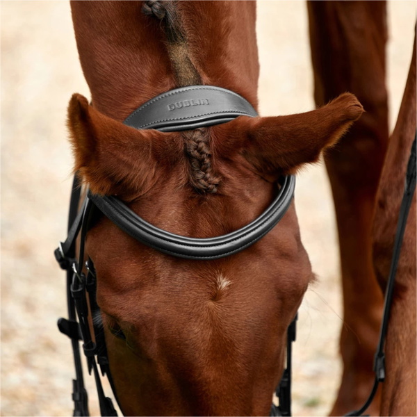 2026 Dublin Padded Mono Crown Flash Bridle 1031498 - Black
